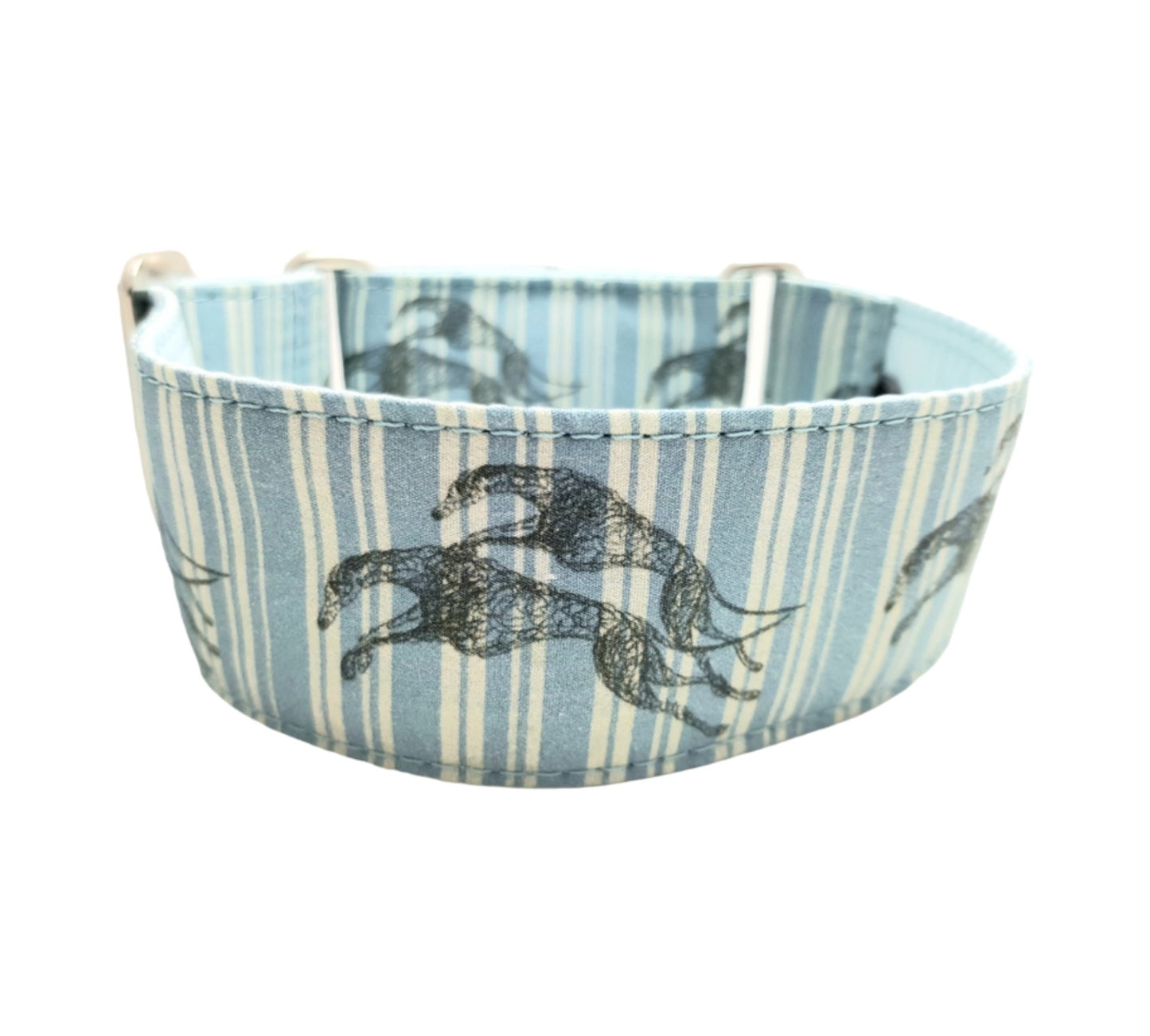 Greyhound striped