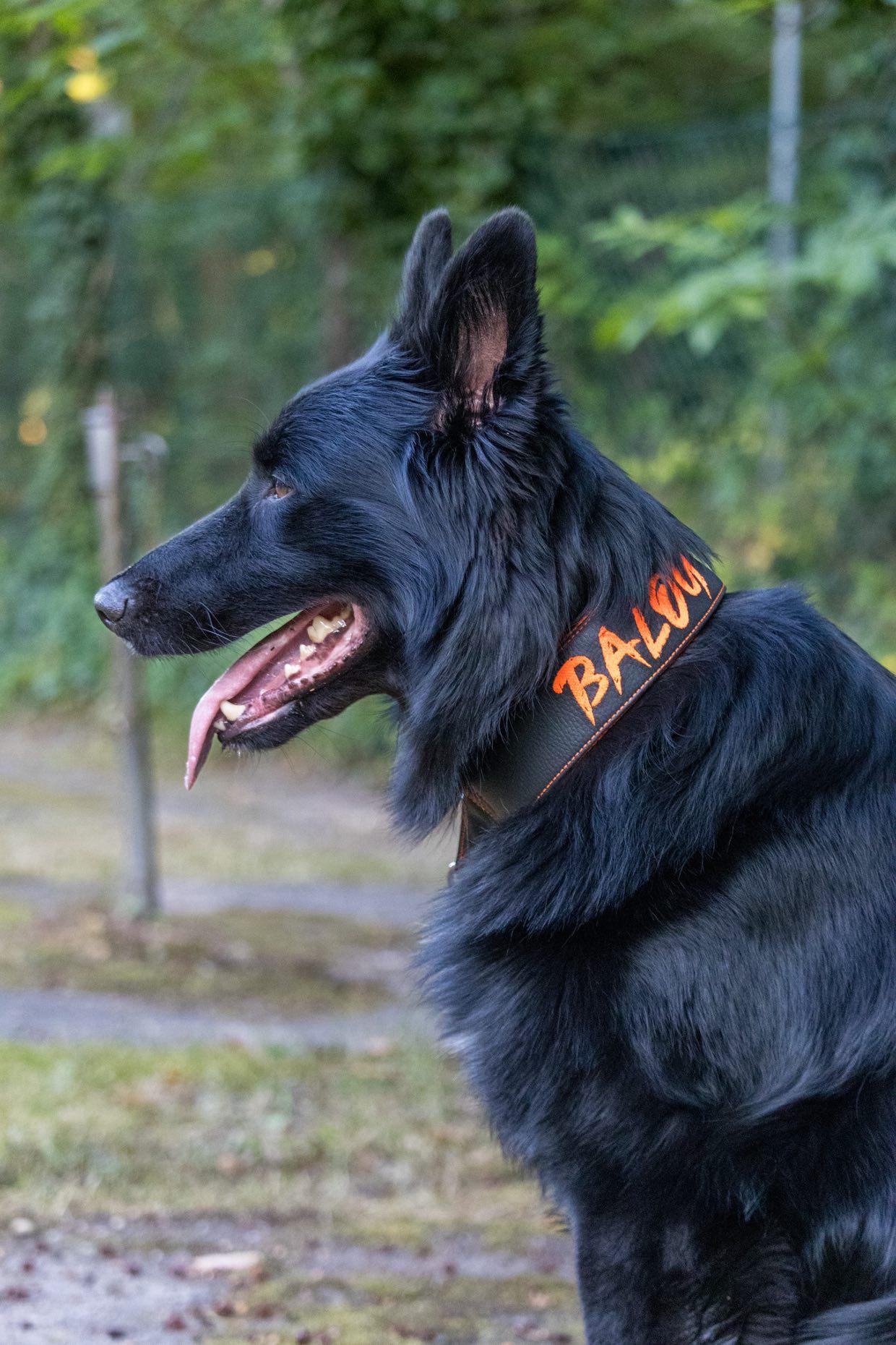 Klickverschluss Halsbänder aus Kunstleder