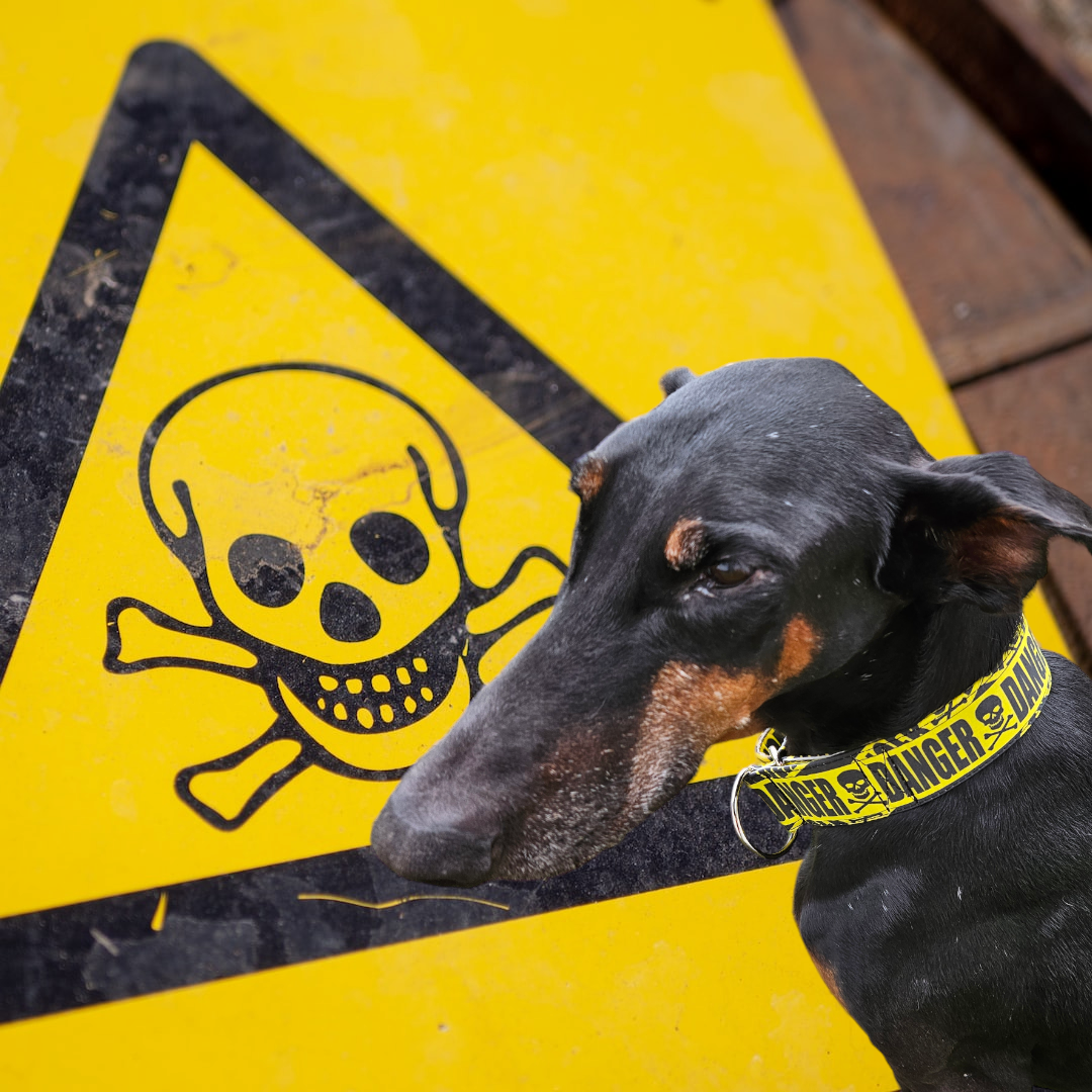 Danger