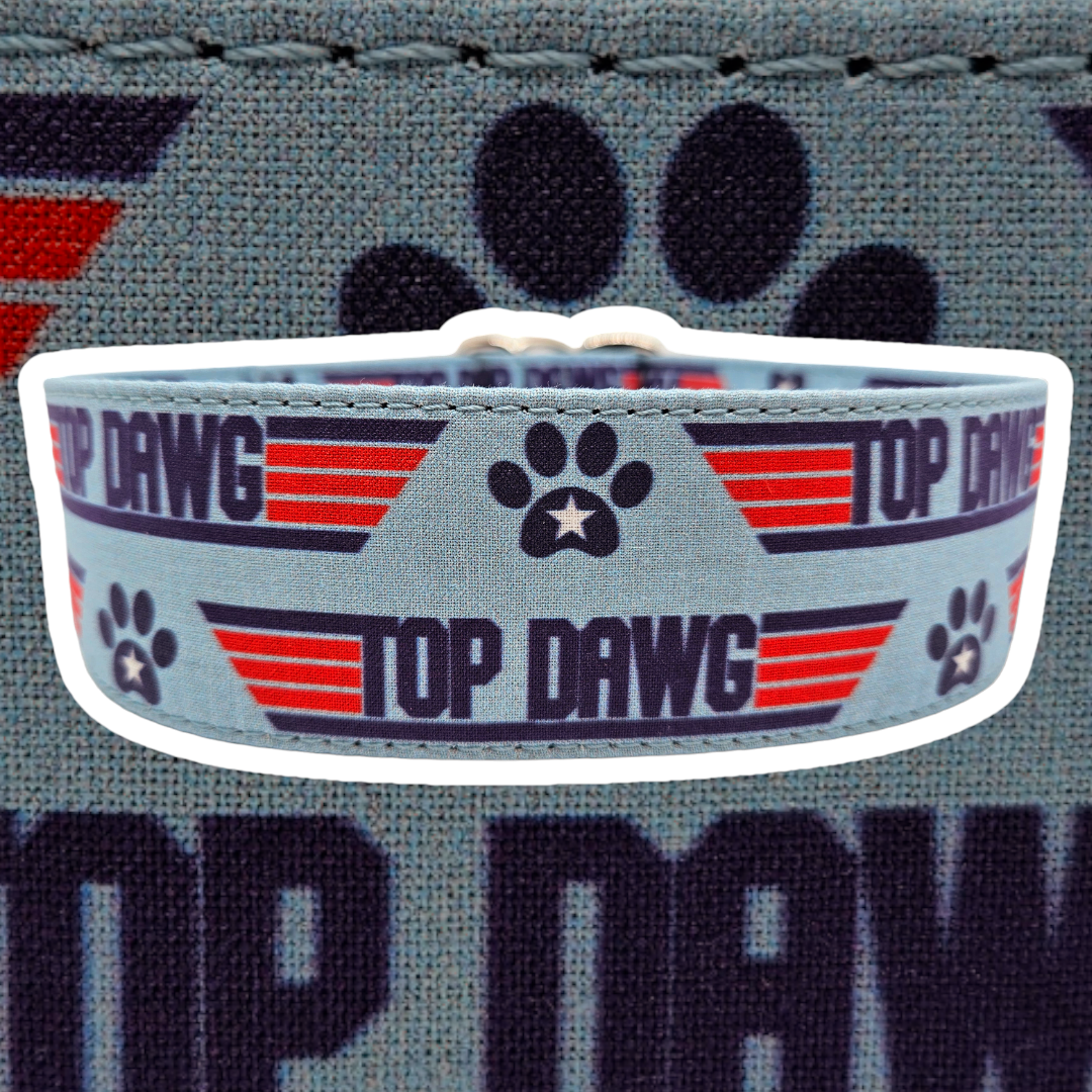 Top Dawg / Top Buddy
