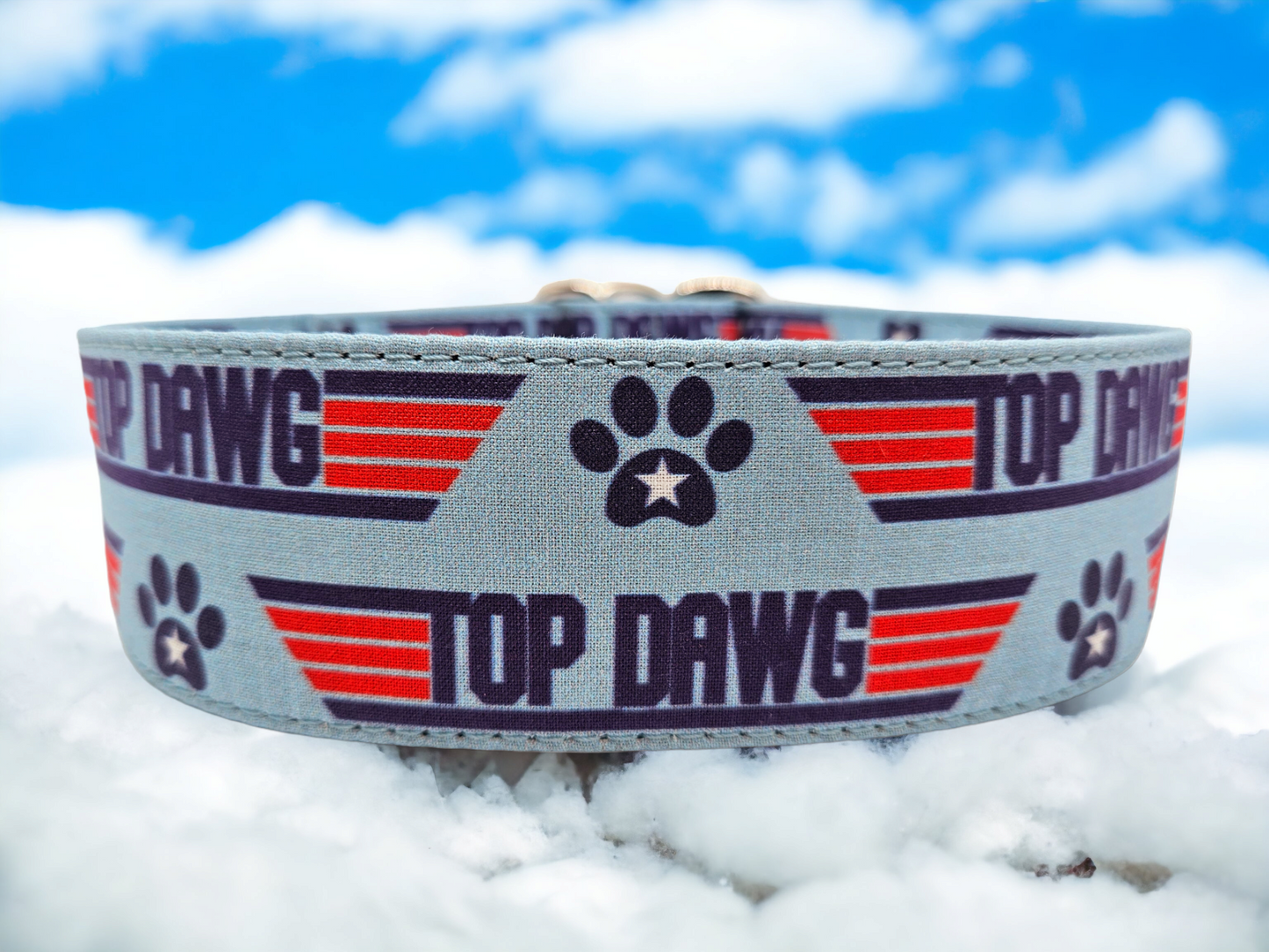 Top Dawg / Top Buddy