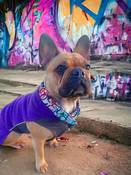 Graffiti III