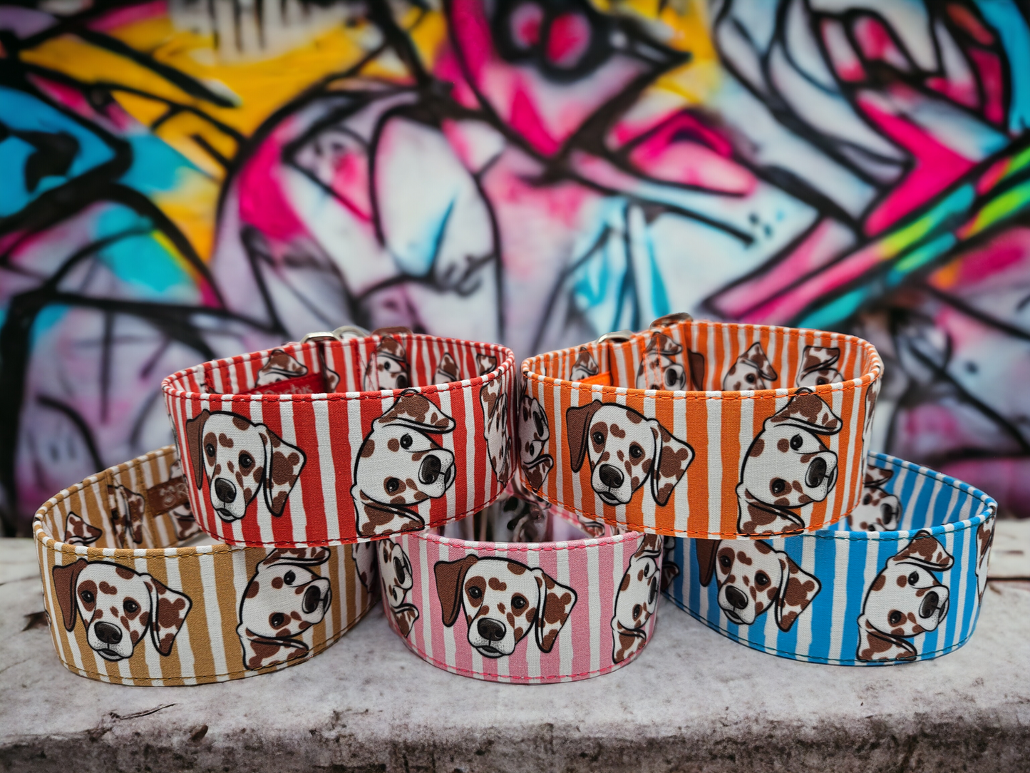 Dalmatian click closure brown heads