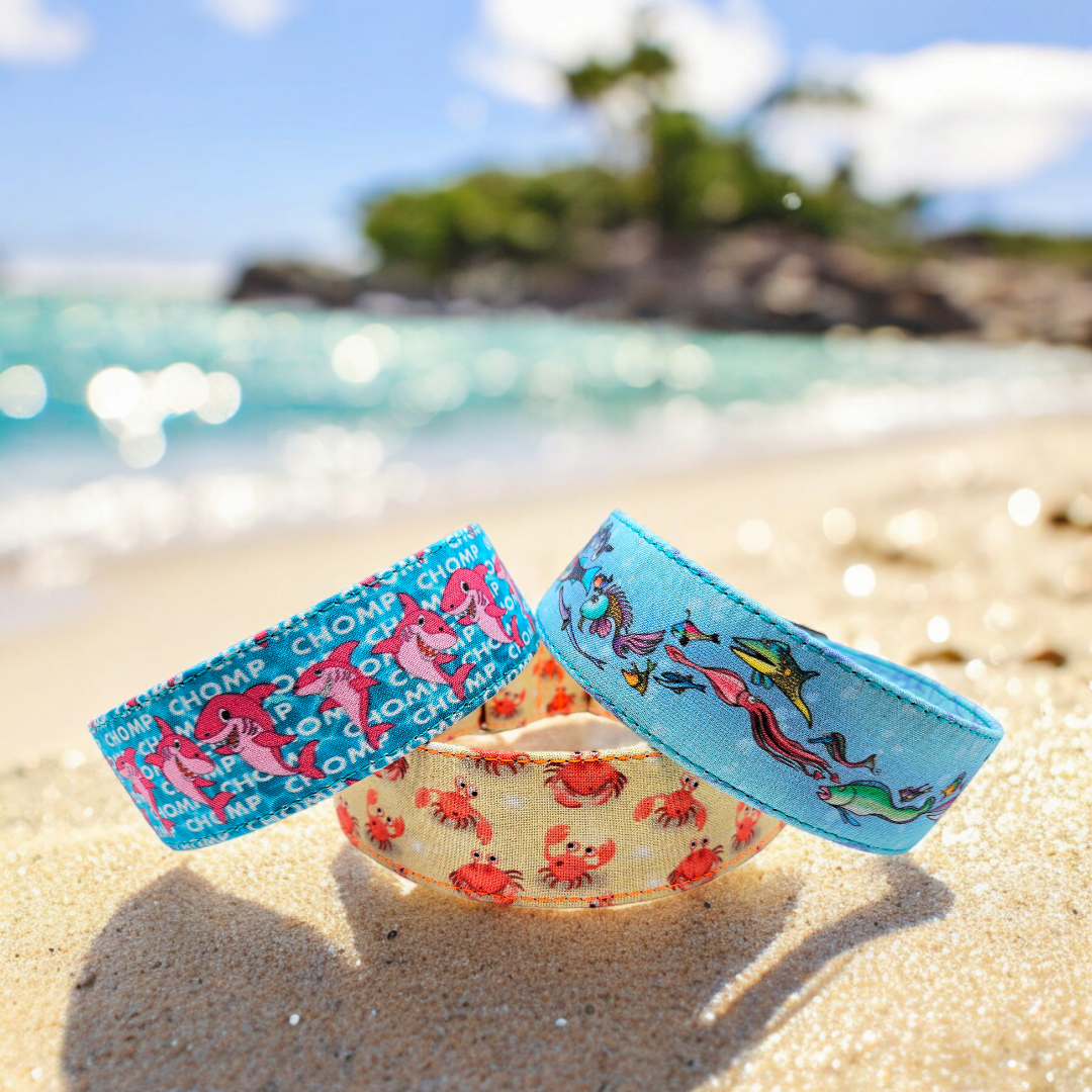 Maritime Crab