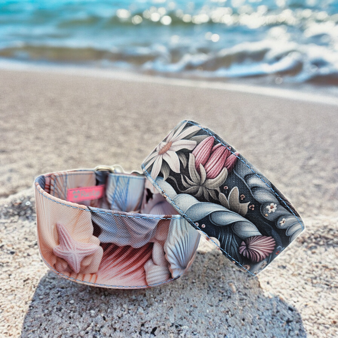 shell