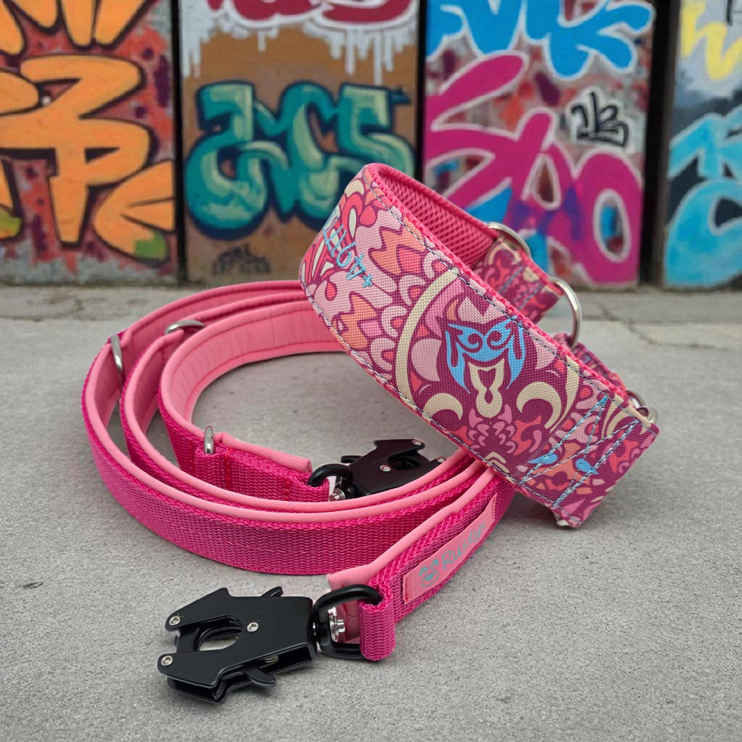 Leine Gurtband mit Softshell unterlegt