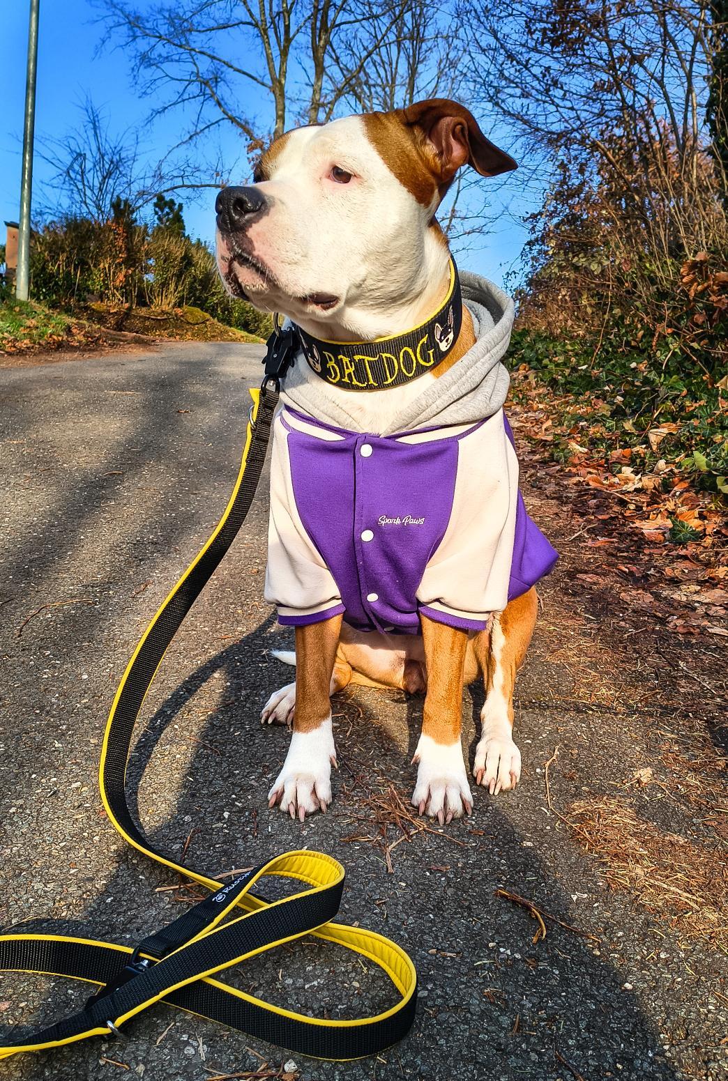 Pure webbing collars padded