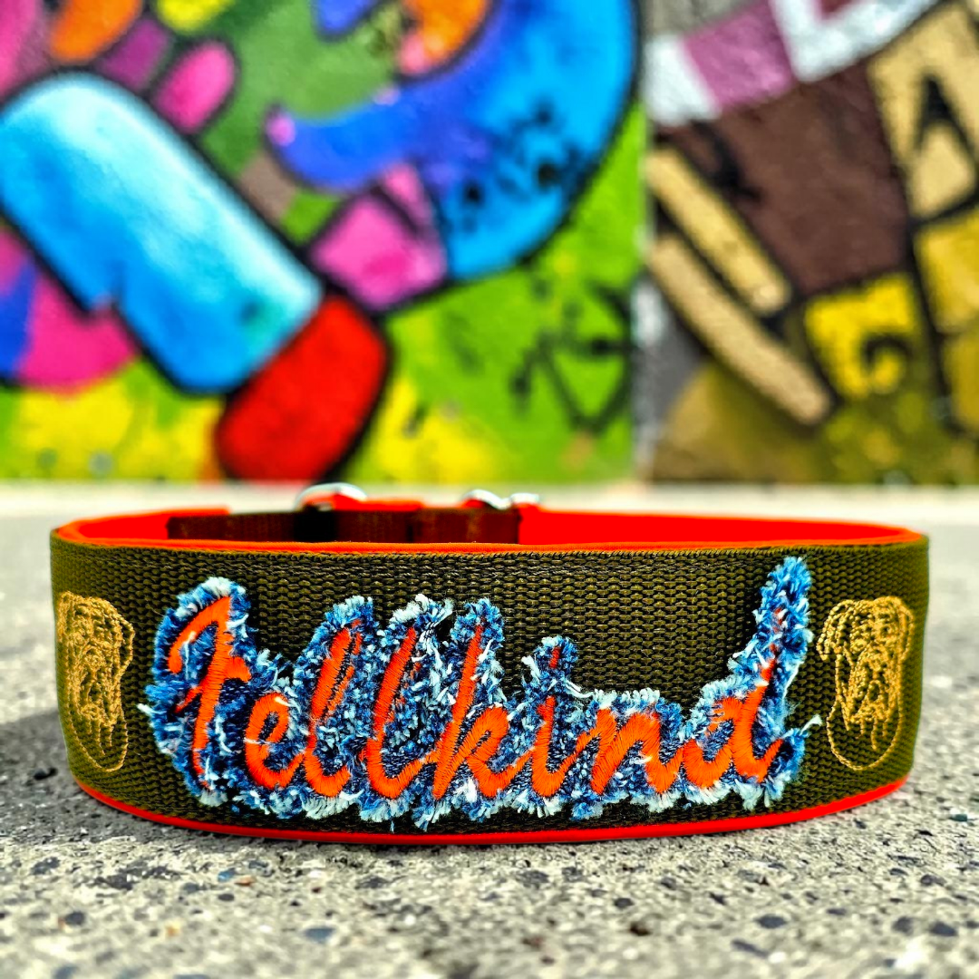 Klickverschluss Halsband im Grunge Look