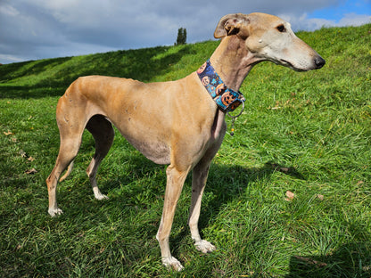 Halloween 2 🦇🎃🦇 