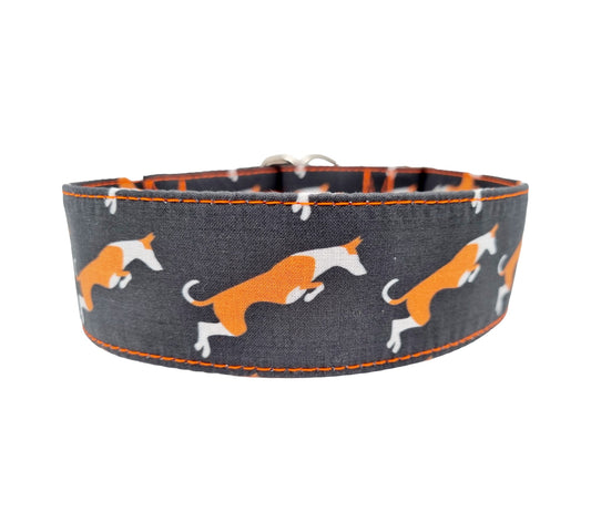 Podenco