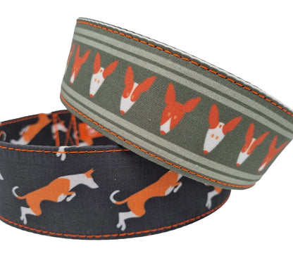 Podenco