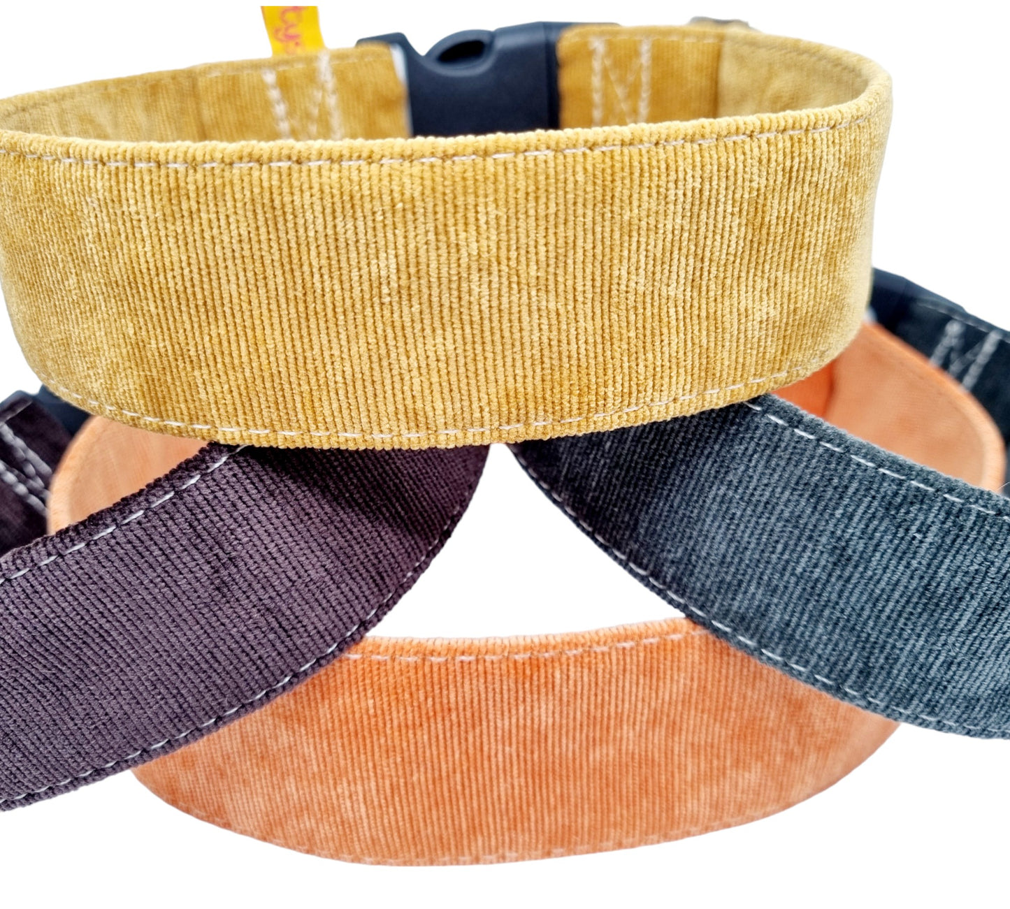 Cord Halsband unifarben
