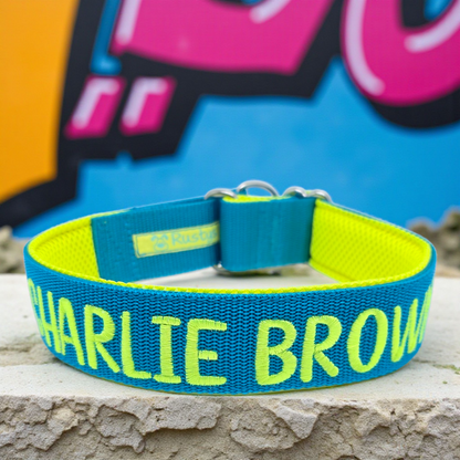 Reine Gurthalsbänder gepolstert