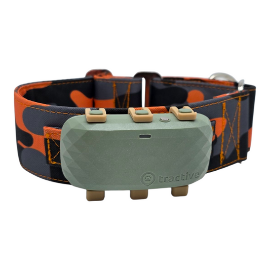 Halterung/Lasche am Halsband für GPS-Tracker