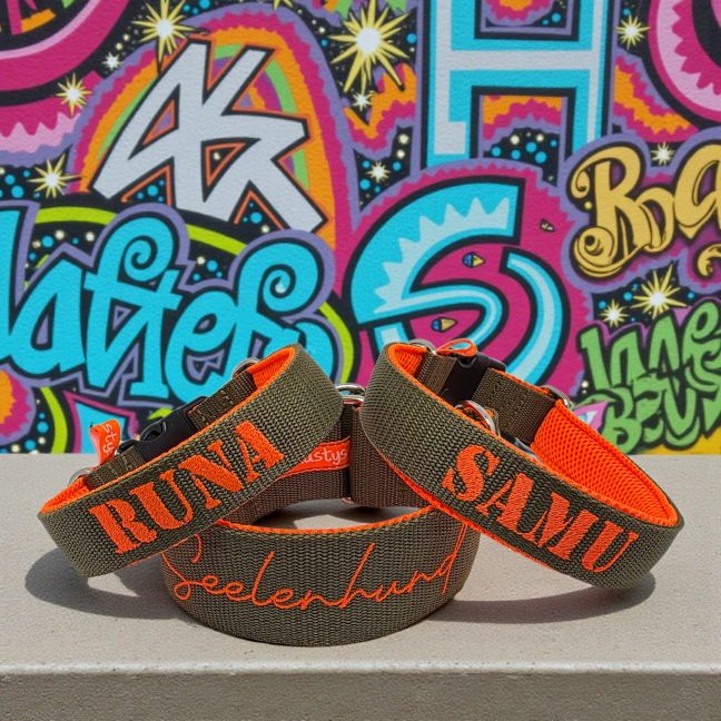 Klickverschluss Halsbänder aus Gurtband