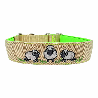 Click closure collars made of webbing