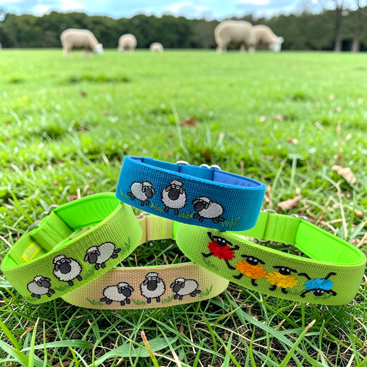 Click closure collars made of webbing