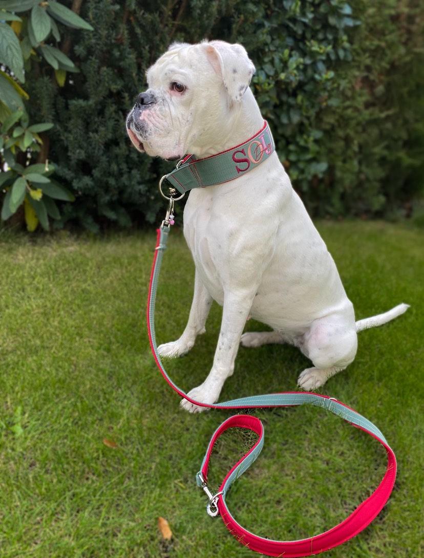 Reine Gurthalsbänder gepolstert