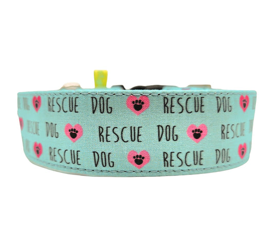 Rescue Dog