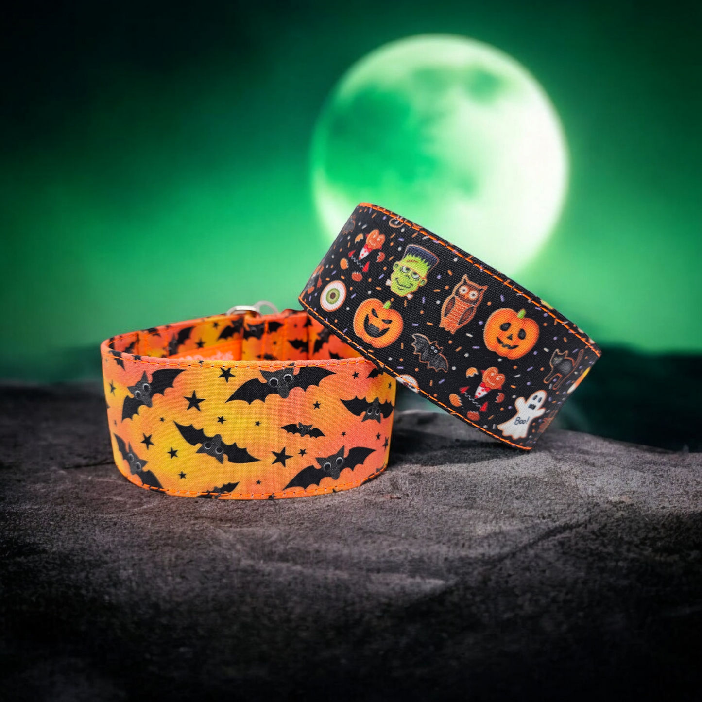 🎃🦇 Fledermäuse