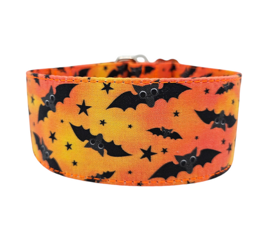 🎃🦇 Fledermäuse