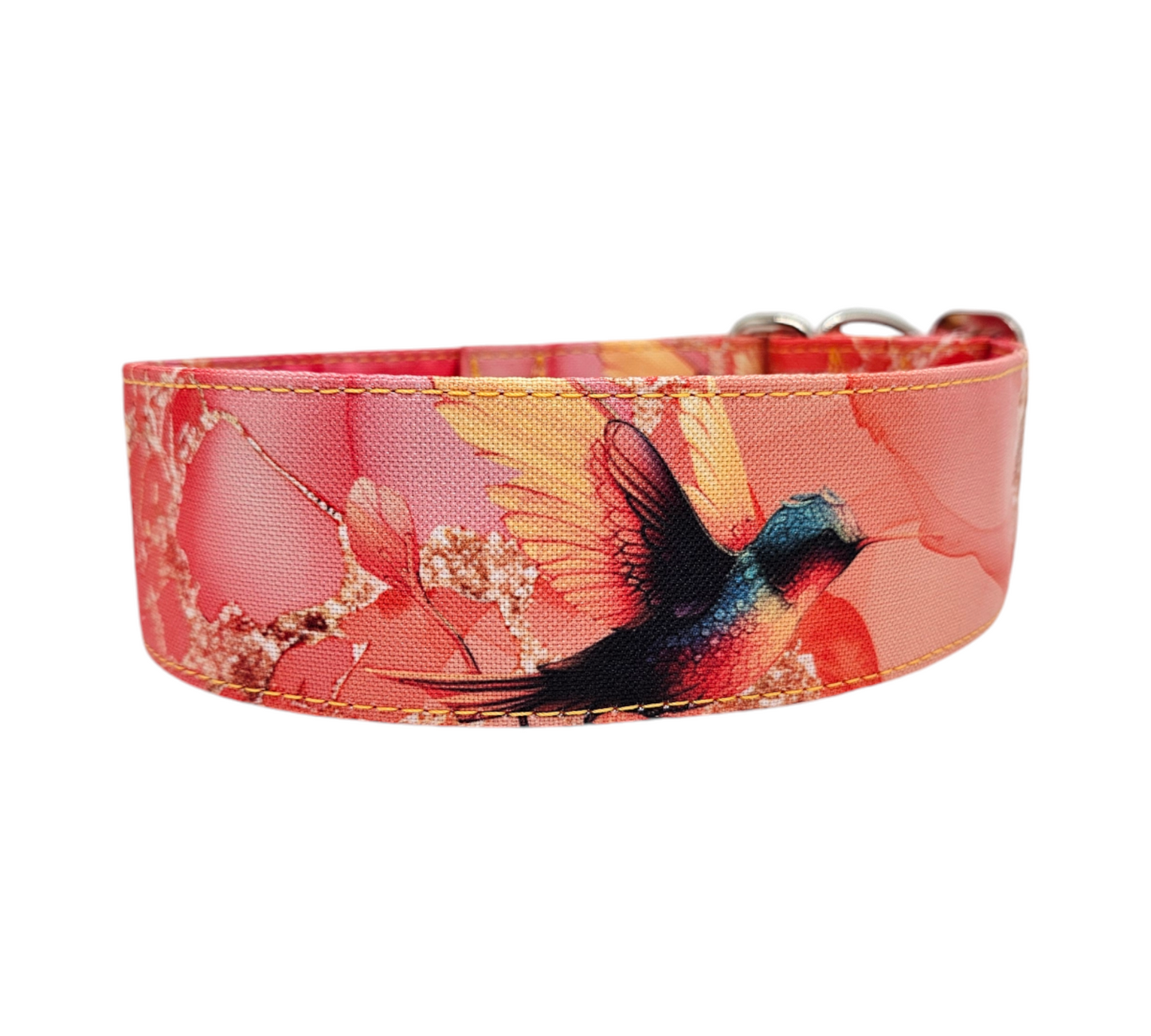 Kolibri 🦚🦜