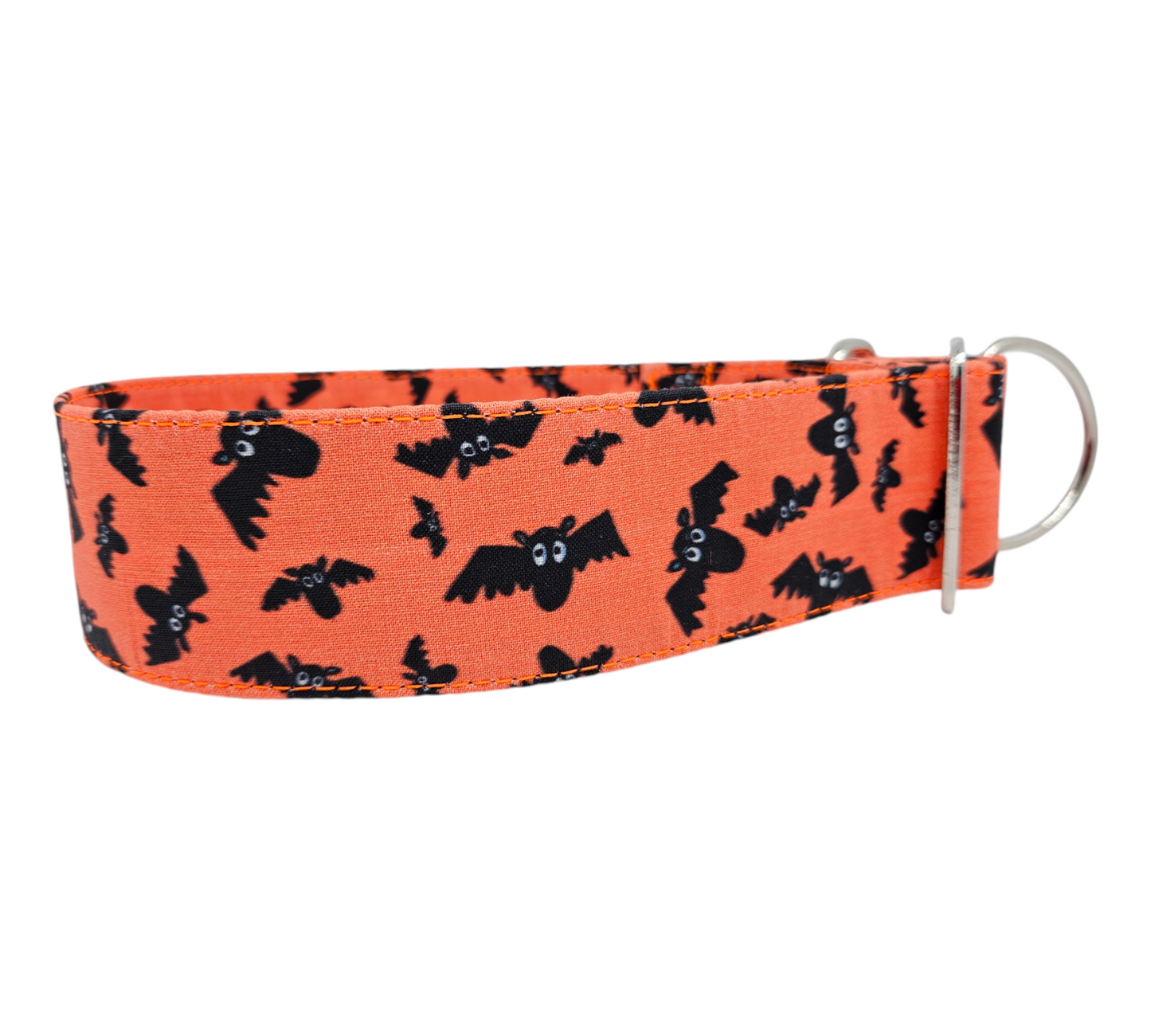 Fledermäuse 🦇🎃🦇