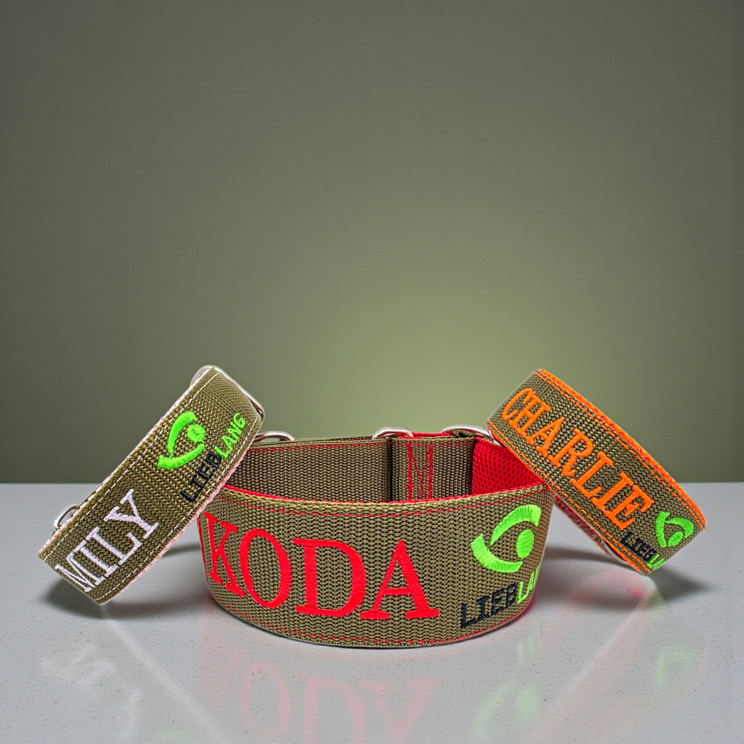 Click closure collars made of webbing