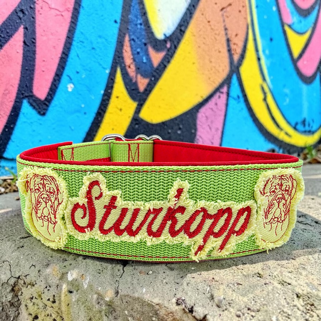 Klickverschluss Halsband im Grunge Look