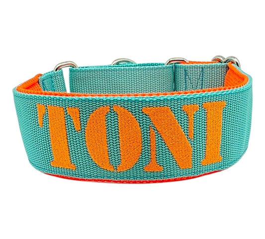 Click closure collars made of webbing