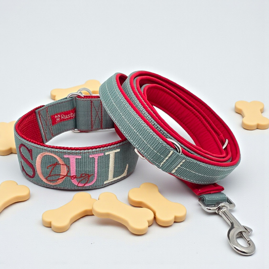 Leine Gurtband mit Softshell unterlegt