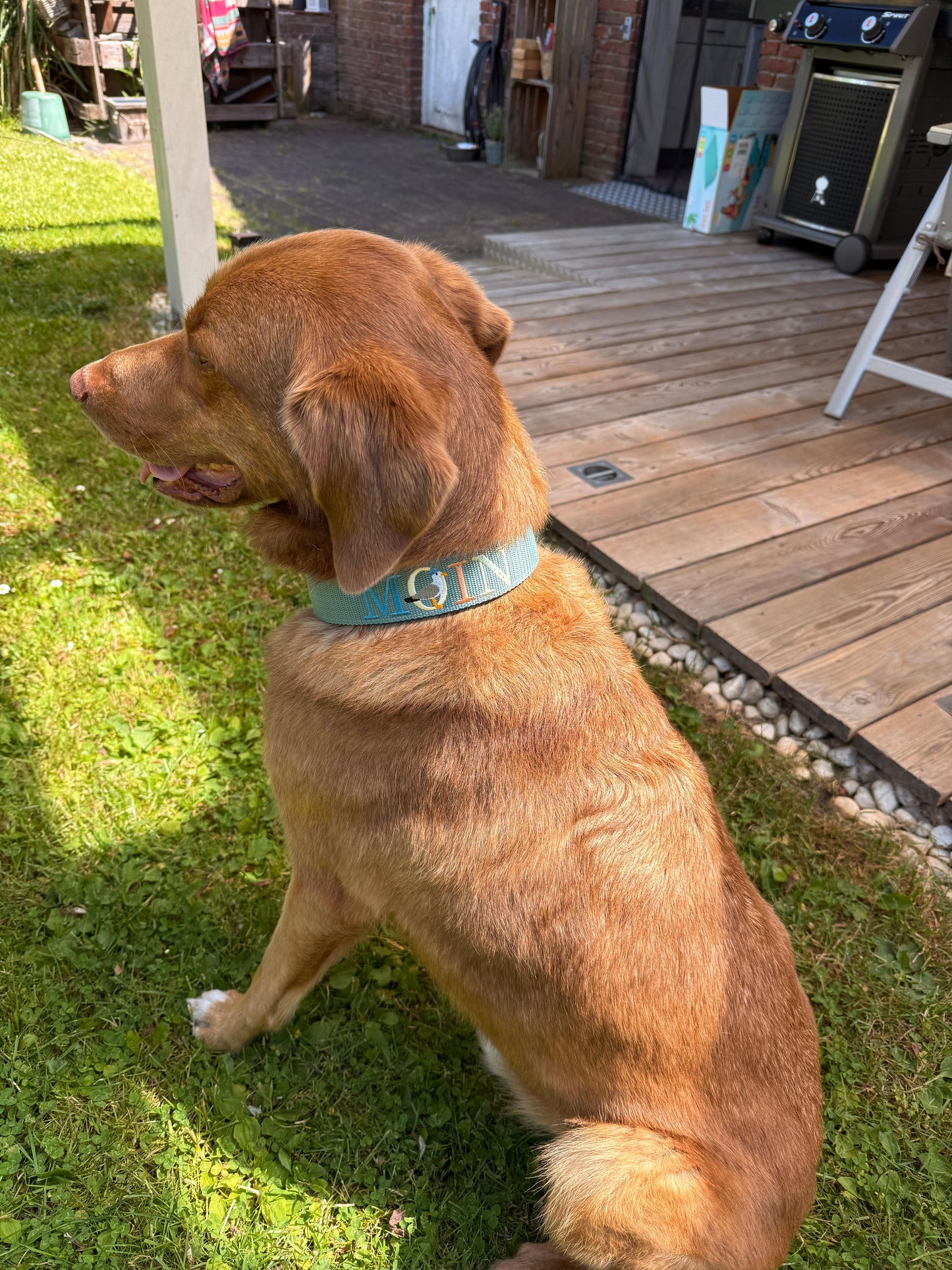 MOIN/SYLT oder Inselnamen Klickverschluss Halsband