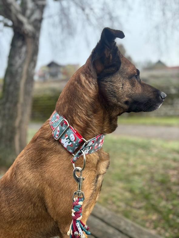 Christmas gingerbread 🎅 