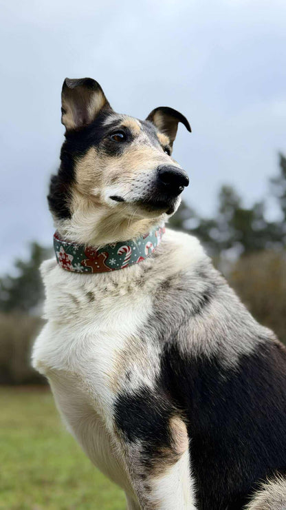 Christmas gingerbread 🎅 