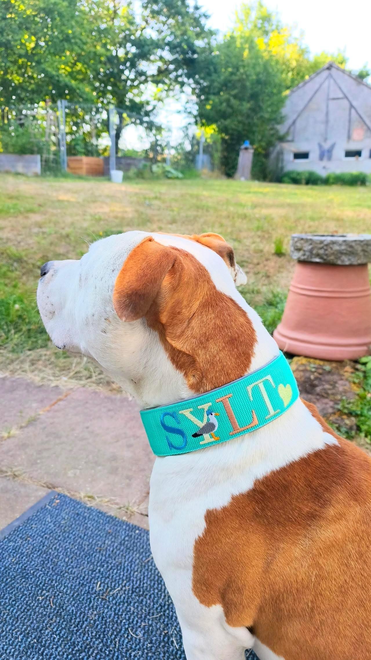 MOIN/SYLT oder Inselnamen Klickverschluss Halsband
