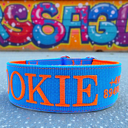 Click closure collars made of webbing