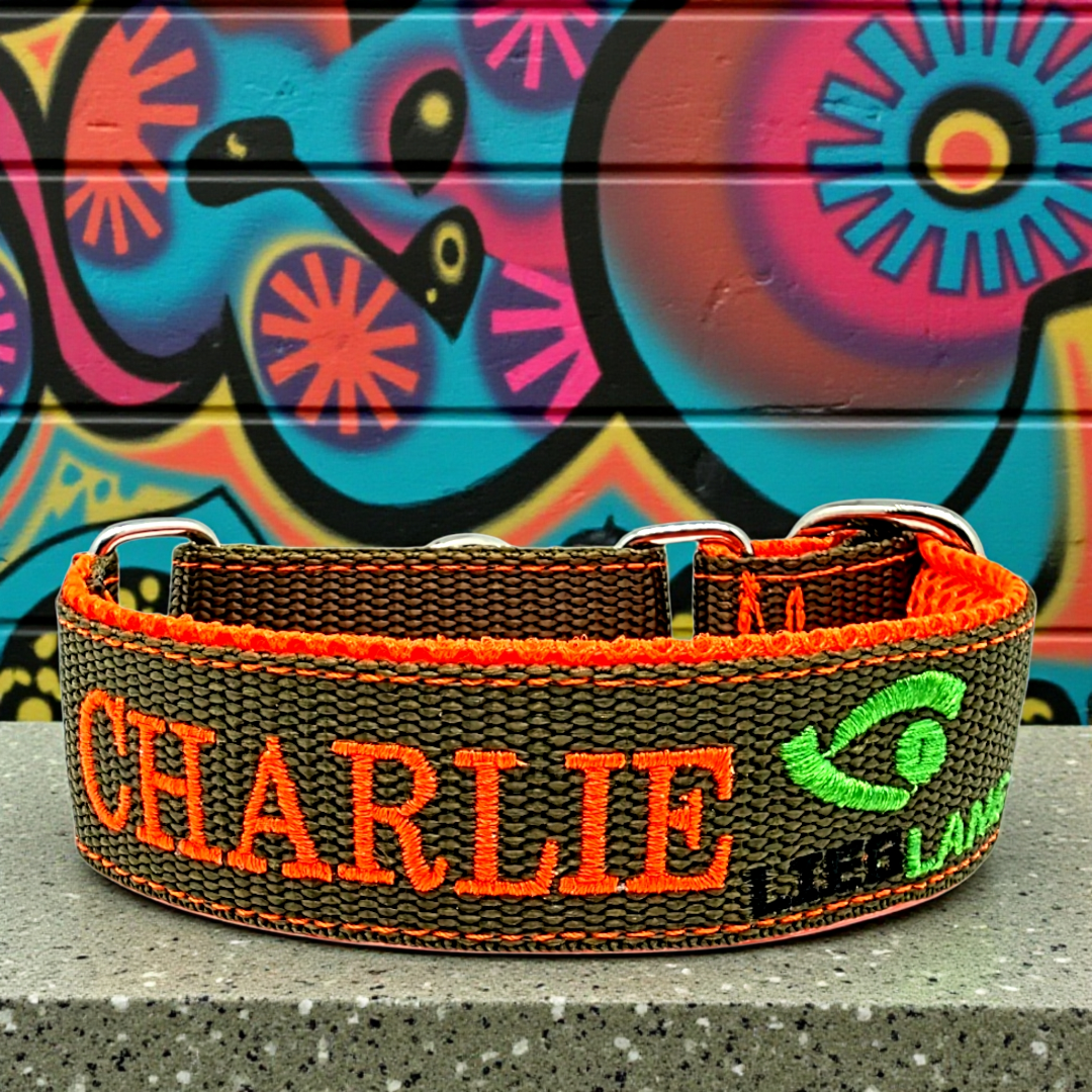 Click closure collars made of webbing