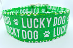 Halsband Lucky Dog