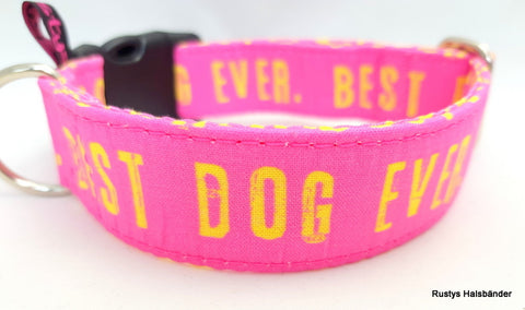 Klickverschluss Halsband Best Dog Ever pink