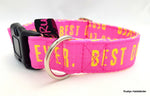 Klickverschluss Halsband Best Dog Ever pink