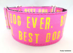 Halsband Best Dog Ever pink