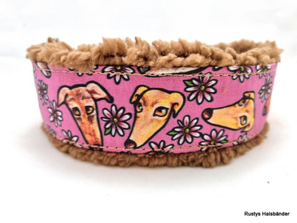 Windhund Teddyplüsch