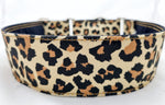 Halsband Wildlife Leo braun
