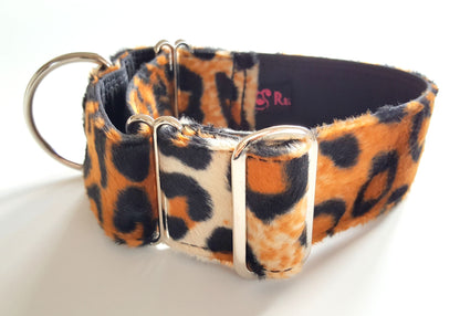 Halsband Wildlife Leo orange